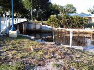 Kingfisher Bridge - Benthic Survey and Essential Fish Habitat Assessment