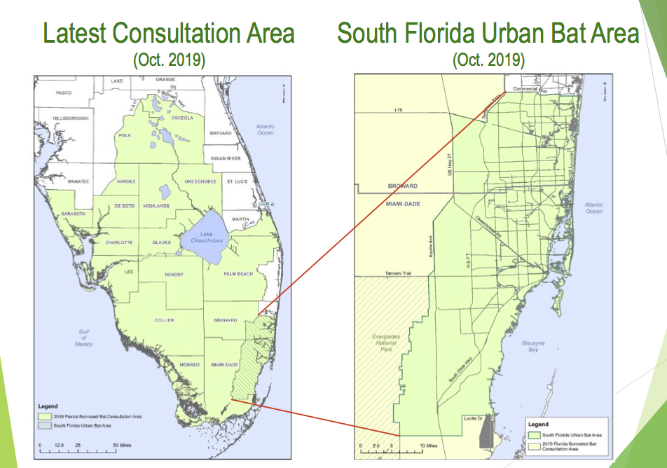 Florida Bat Surveys SmartSciences, Inc.SmartSciences, Inc.
